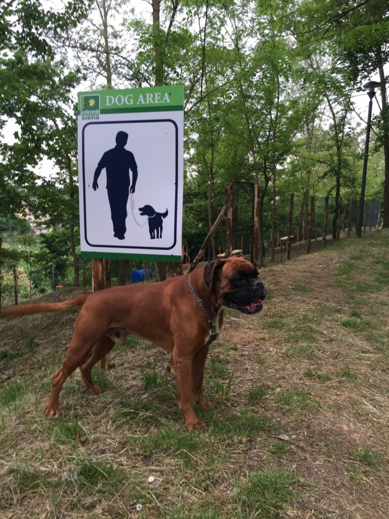 Camping Colleverde - Bild 8 Camping Colleverde - Bild 8