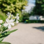 Camping Côté Vercors - Bild 20 Camping Côté Vercors - Bild 20