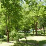 Camping Couderc - Bild 3