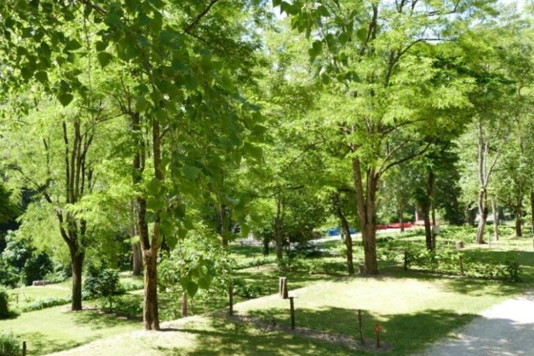 Camping Couderc - Bild 3