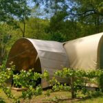 Camping Couderc - Bild 4