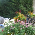 Camping Couleurs Du Monde - Bild 16