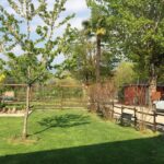 Camping Covelo - Bild 2 Camping Covelo - Bild 2