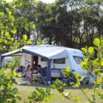 Camping Dal Van De Mosbeek - Bild 5