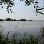 Camping D'hof - Bild 12