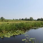 Camping D'hof - Bild 5