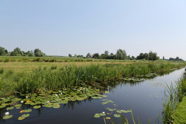 Camping D'hof - Bild 5