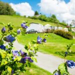 Camping D'arrouach - Bild 10 Camping D'arrouach - Bild 10