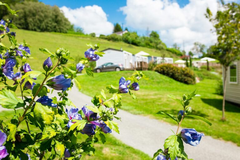 Camping D'arrouach - Bild 10 Camping D'arrouach - Bild 10