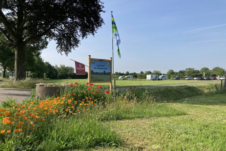 Camping De Boomgaard - Bild 6