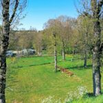 Camping De Bourg Charente - Bild 2