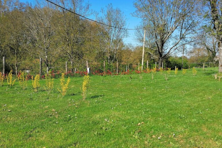 Camping De Bourg Charente - Bild 3