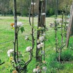 Camping De Bourg Charente - Bild 4