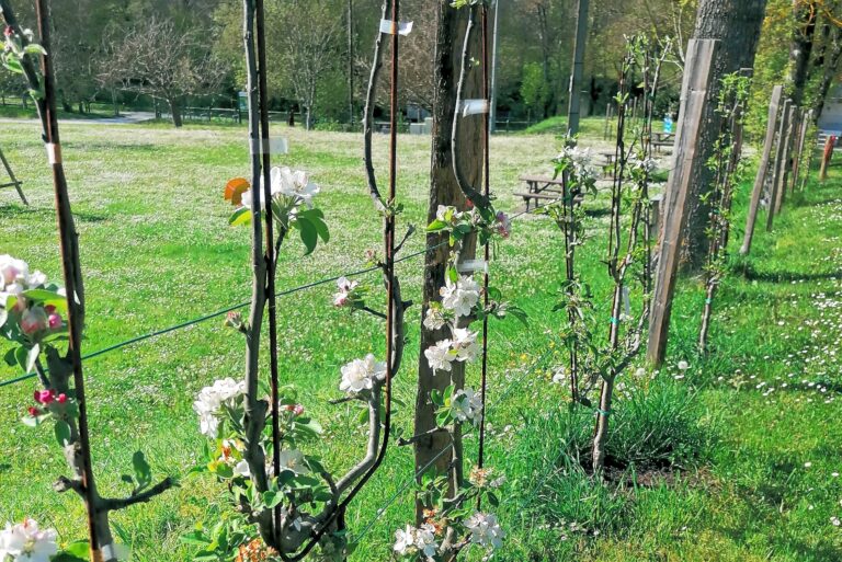 Camping De Bourg Charente - Bild 4