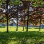 Camping De Boÿse - Bild 11