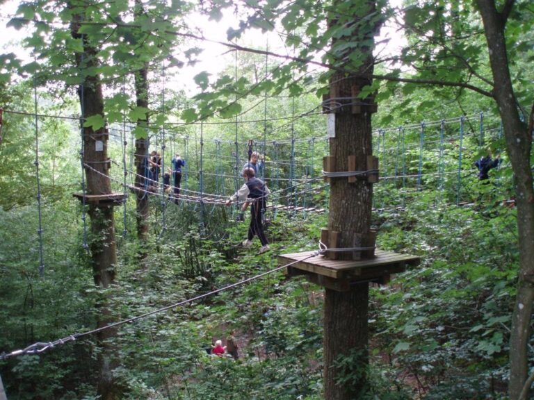 Camping De Chênefleur - Bild 14 Camping De Chênefleur - Bild 14