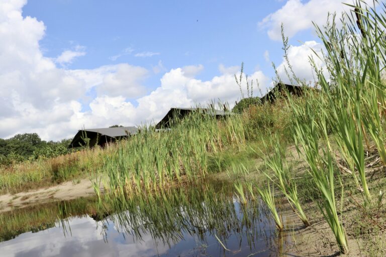 Camping De Heerlijkheid Vorenseinde - Bild 7