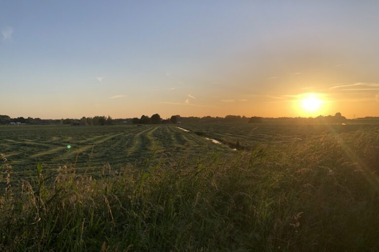 Camping De Hof Van Eeden - Bild 6