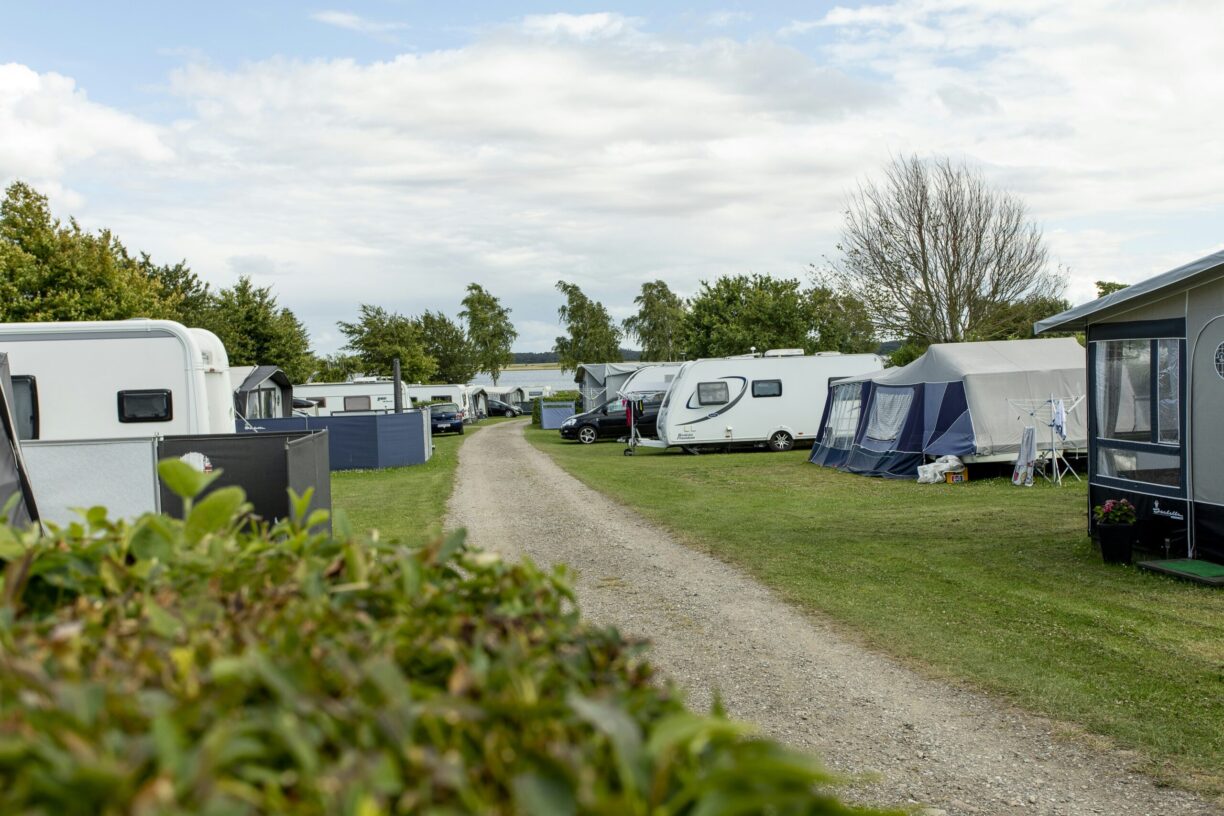 De Hvide Svaner Camping - Bild 1 De Hvide Svaner Camping - Bild 1