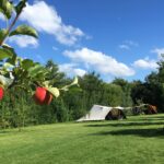 Camping De Kamperhoek - Bild 7