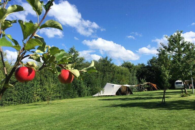 Camping De Kamperhoek - Bild 7