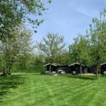 Camping De Kamperhoek - Bild 1