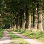 Camping De Kei - Bild 1