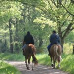 Camping De Kernéjeune - Bild 10 Camping De Kernéjeune - Bild 10