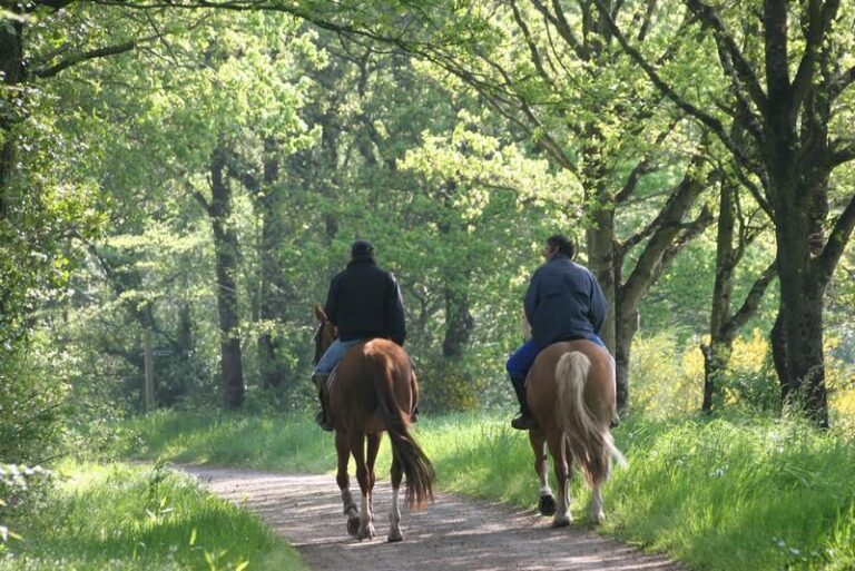 Camping De Kernéjeune - Bild 10 Camping De Kernéjeune - Bild 10