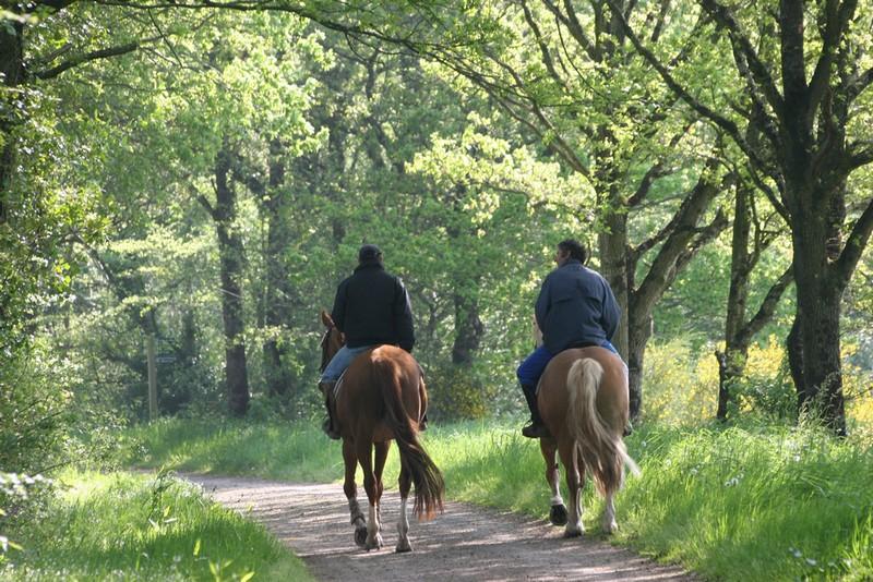 Camping De Kernéjeune - Bild 10 Camping De Kernéjeune - Bild 10