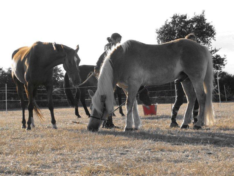 Camping De Kernéjeune - Bild 8 Camping De Kernéjeune - Bild 8