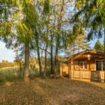 Camping De La Forêt - Bild 5