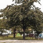 Camping De La Seine - Bild 8