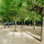 Camping De La Vall D'àger - Bild 8 Camping De La Vall D'àger - Bild 8