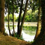 Camping De L' Ile - Bild 11