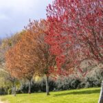 Camping De Locouarn - Bild 5