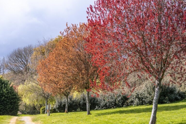 Camping De Locouarn - Bild 5