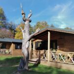 Camping De Masevaux - Bild 4