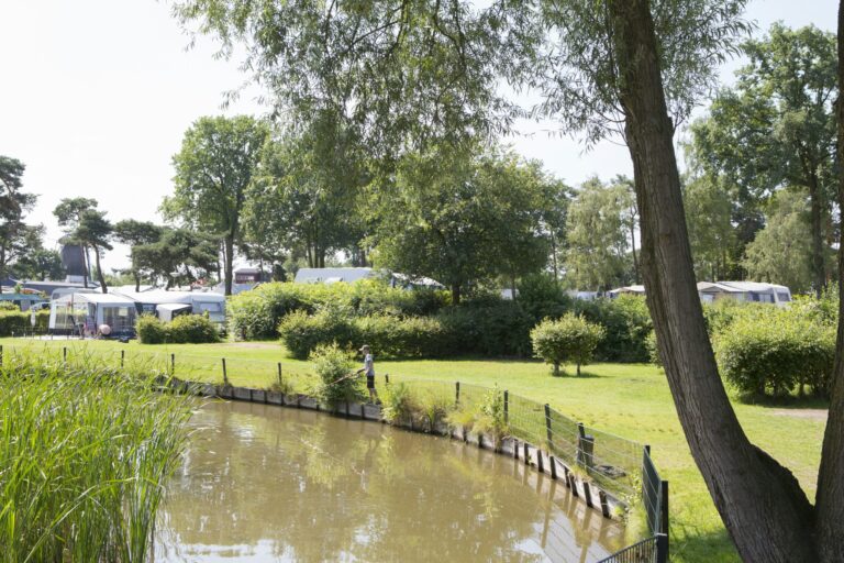 Camping De Molenhof - Bild 2