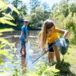 Camping De Pallegarste - Bild 16