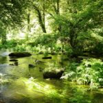 Camping De Pont Calleck - Bild 7