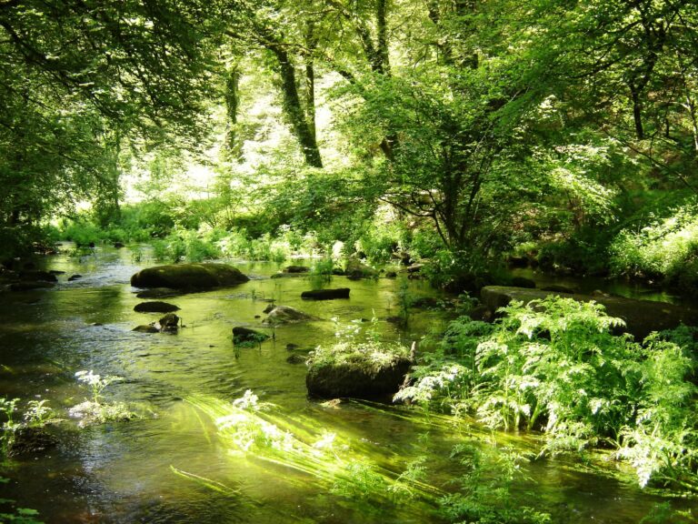 Camping De Pont Calleck - Bild 7