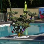 Camping De Retourtour - Bild 3