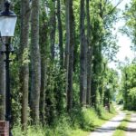 Camping De Rousant - Bild 8