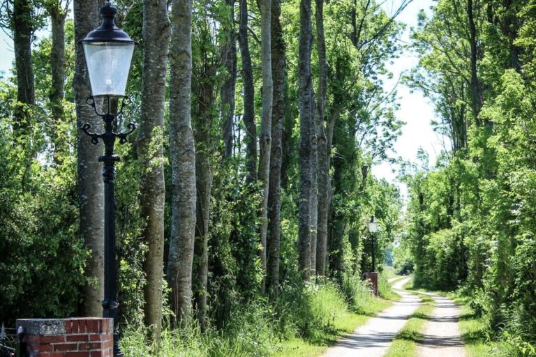 Camping De Rousant - Bild 8