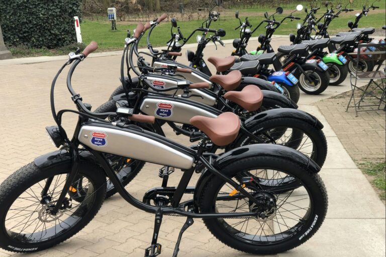 Camping De Tolbrug - Bild 12