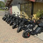 Camping De Tolbrug - Bild 13