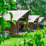 Camping De Tolbrug - Bild 2