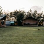 Camping De Tulpenweide - Bild 7