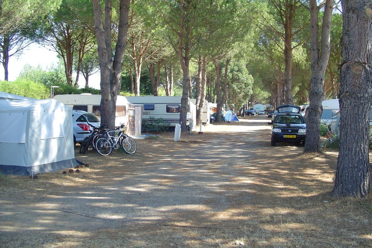 Camping De Vaudois - Bild 7 Camping De Vaudois - Bild 7